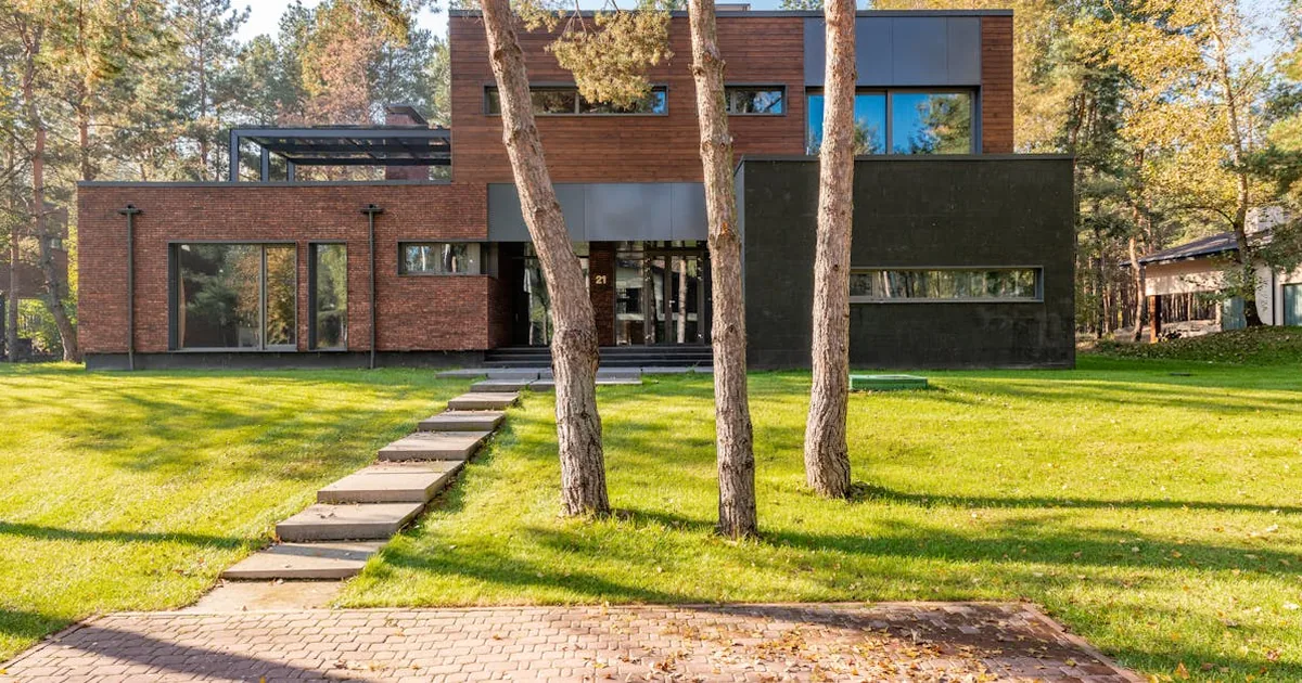 Arcilla Verde en Piel Acneica para Cicatrices