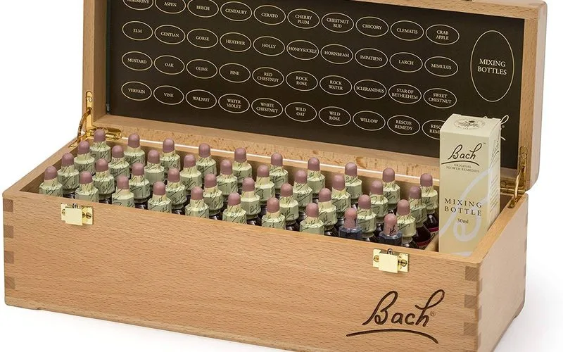 Las 38 Flores de Bach: Guia Completa de Cada Esencia