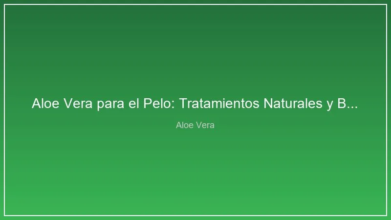 Aloe Vera para el Pelo: Tratamientos Naturales y Beneficios Comprobados