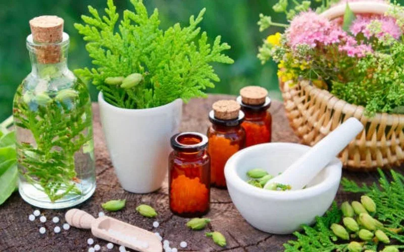 Ashwagandha vs Rodiola: Comparativa de Adaptogenos