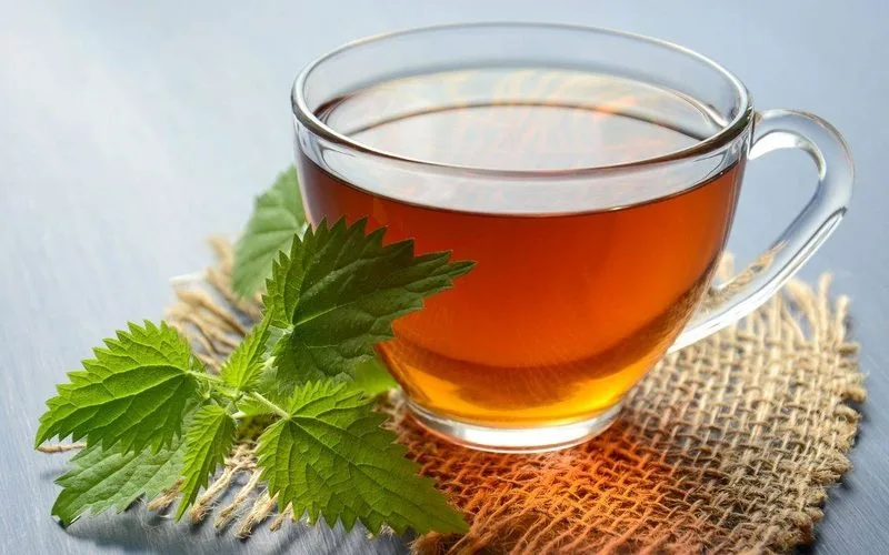 Curcuma: Para Que Sirve y Beneficios Reales en 2026