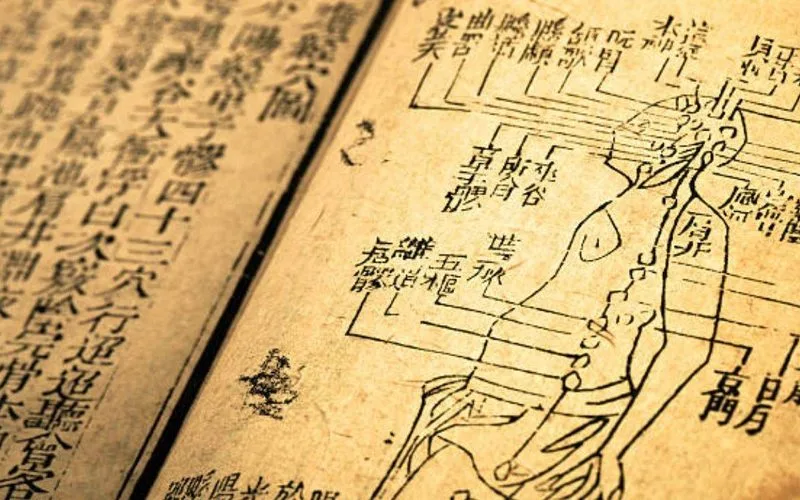 Los 7 Mejores Adaptogenos Naturales en 2026