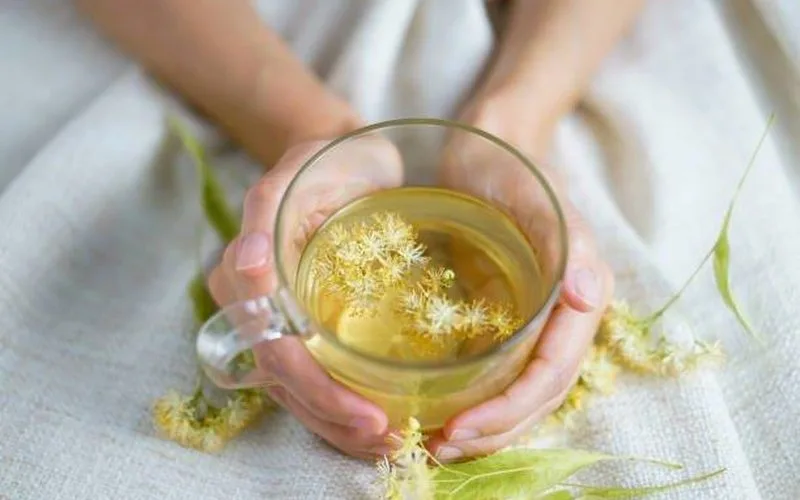 Productos Naturales para las Defensas: Top 10 en 2026