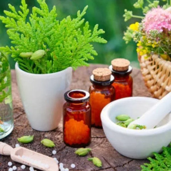 Mejor Ashwagandha KSM-66