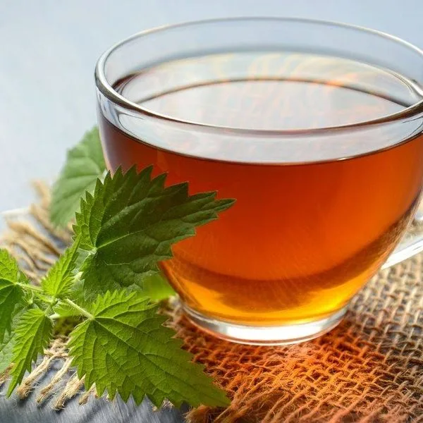 Te Verde Capsulas Extracto